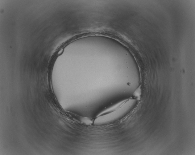 X0000073531214200608281543