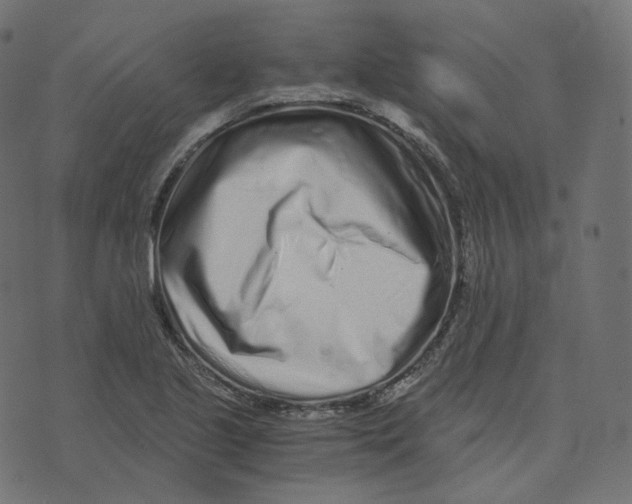 X0000073531221200608281543