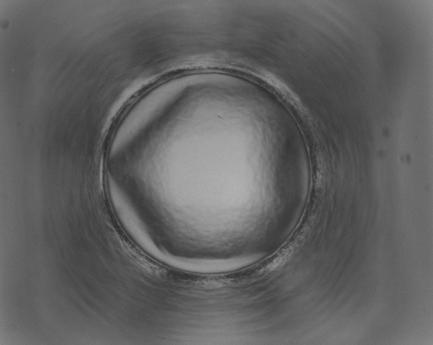 X0000073531224200608281543
