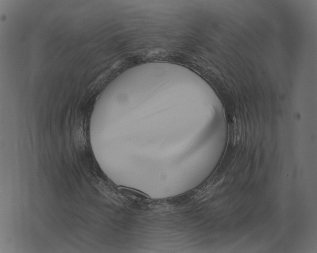 X0000073531250200608281543