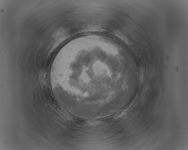 X0000073531258200608281543