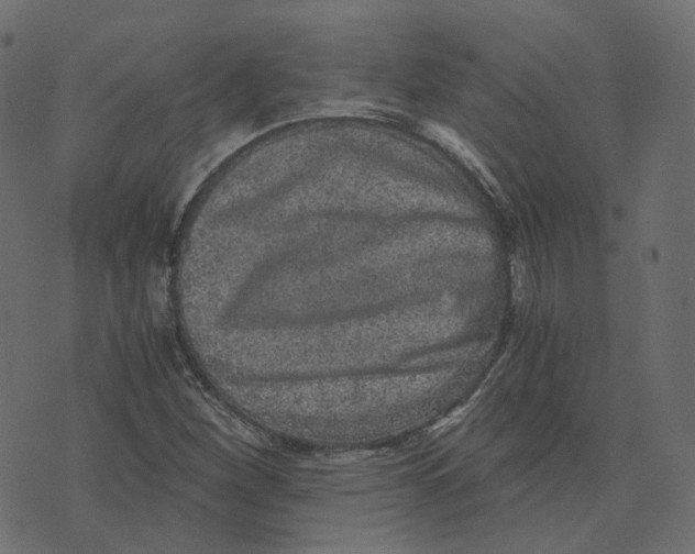 X0000073531260200608281543