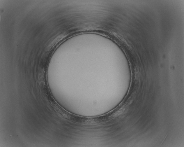 X0000073531265200608281542