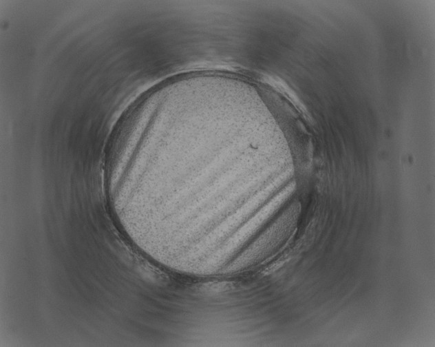 X0000073531268200608281542