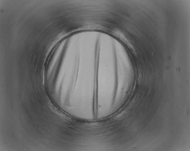 X0000073531276200608281542