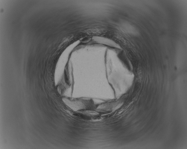 X0000073531297200608281541