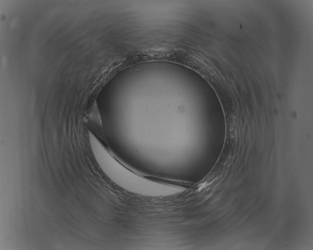 X0000073531298200608281541