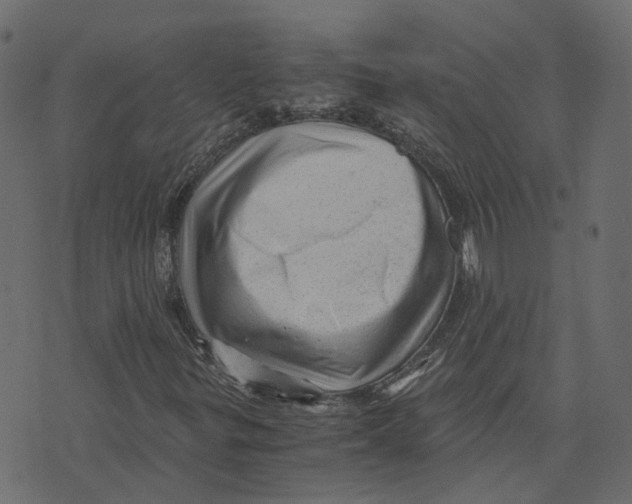 X0000073531299200608281541