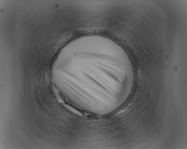 X0000073531300200608281541