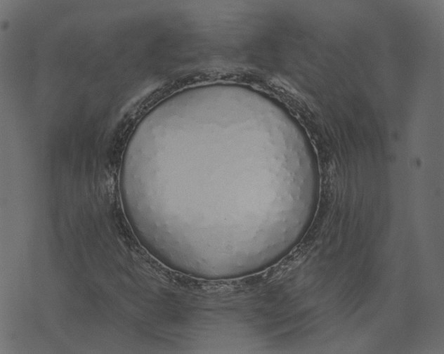 X0000073531302200608281541