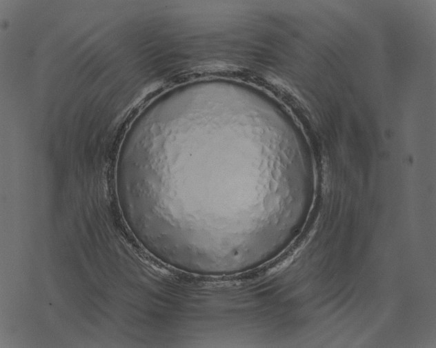 X0000073531305200608281541
