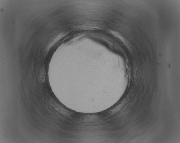 X0000073531306200608281541