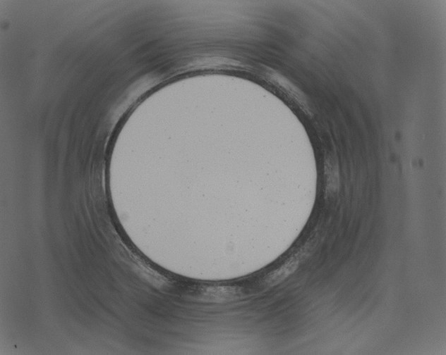 X0000073531322200608281542