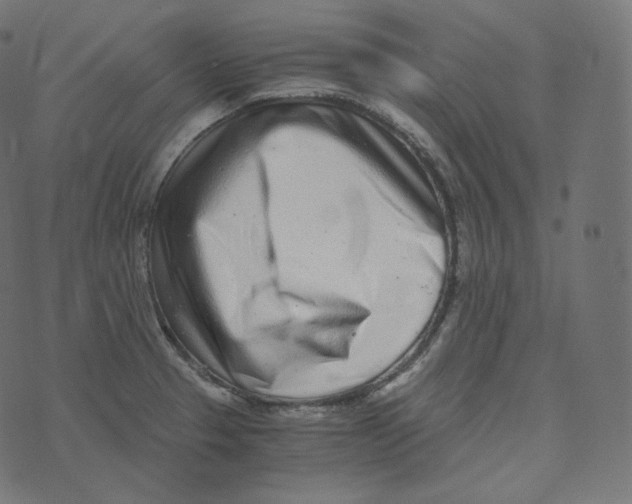 X0000073531329200608281542