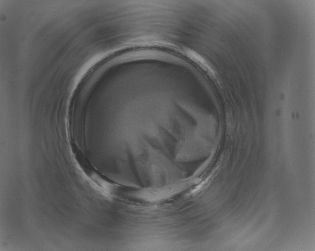 X0000073531334200608281542