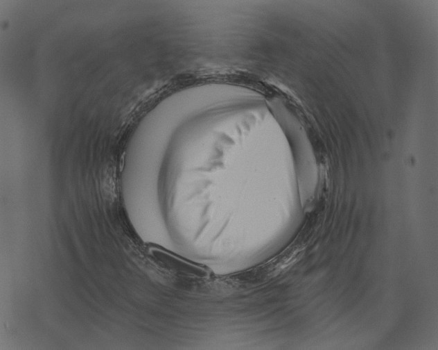 X0000073531348200608281541