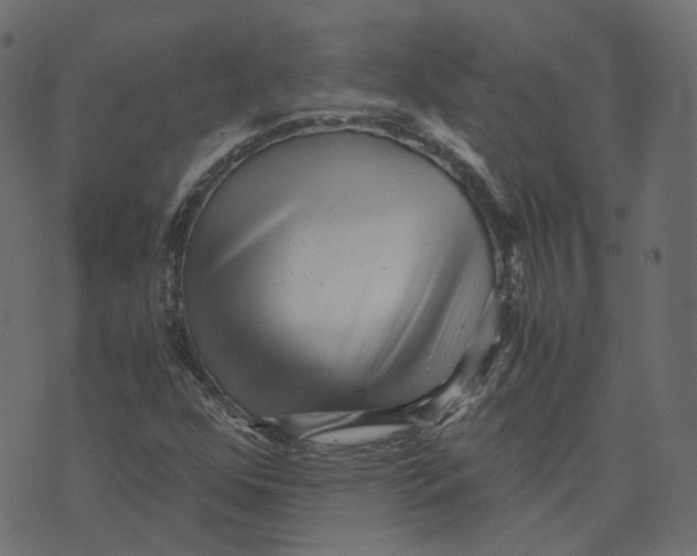 X0000073531352200608281541