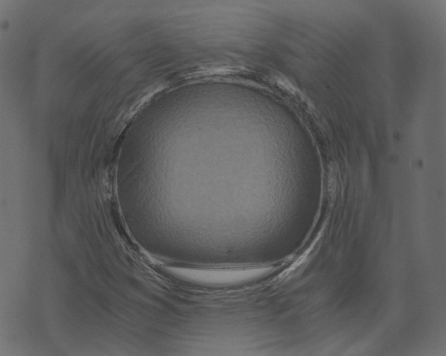 X0000073531353200608281541