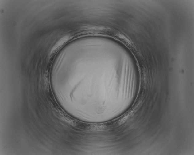 X0000073531354200608281541