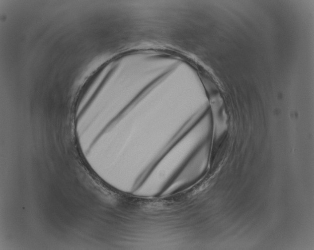 X0000073531367200608281541