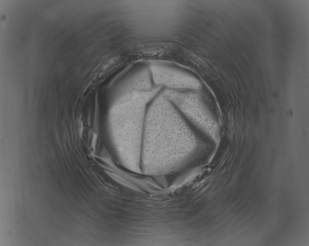X0000073531394200608281540