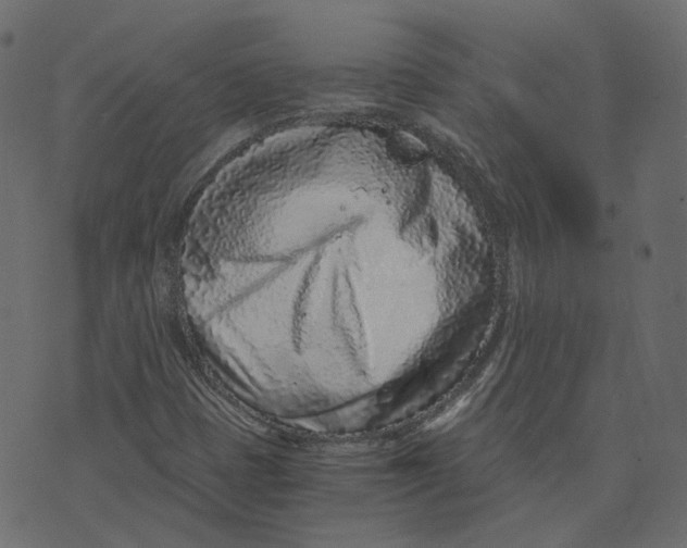 X0000073531401200608281540