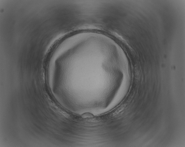 X0000073531408200608281540