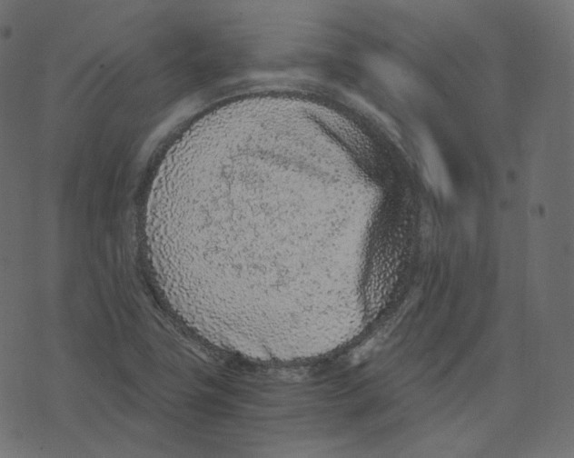 X0000073531411200608281540