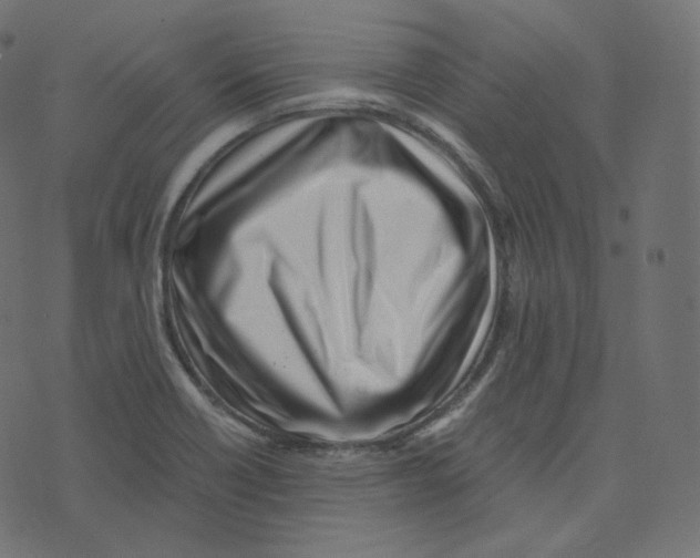 X0000073531418200608281540