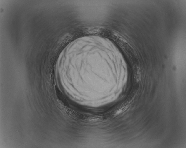 X0000073531441200608281540