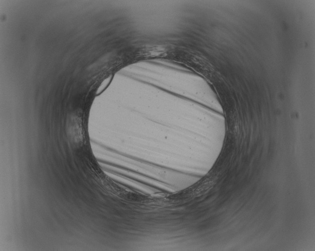 X0000073531442200608281540