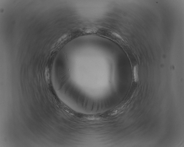 X0000073531443200608281540