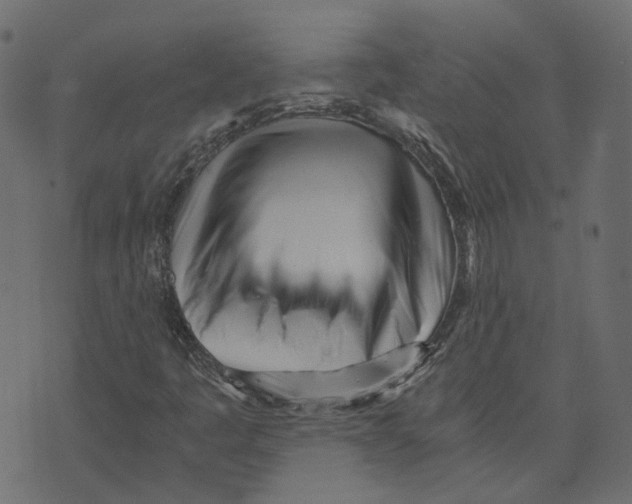 X0000073531445200608281540