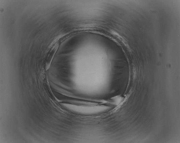 X0000073531449200608281539