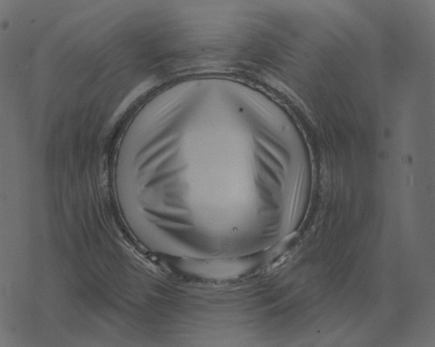 X0000073531450200608281539