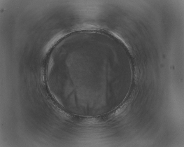 X0000073531455200608281539
