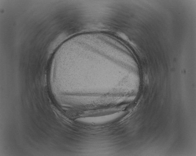 X0000073531459200608281539