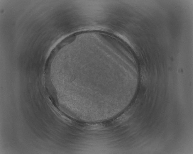 X0000073531460200608281539