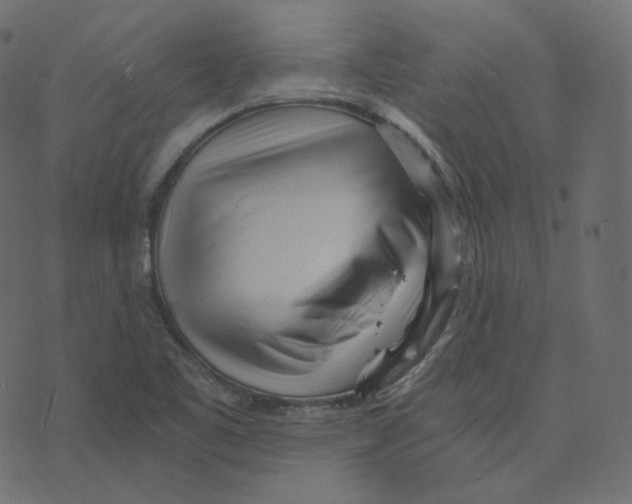 X0000073531461200608281539