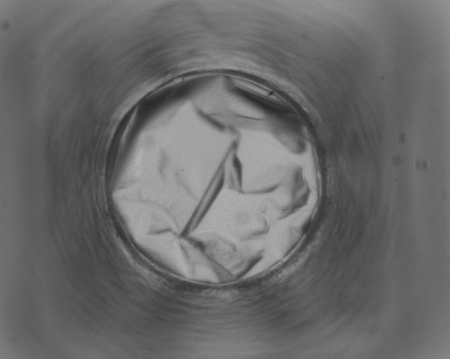 X0000073531513200608281538
