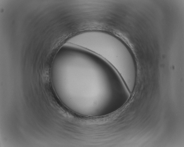 X0000073540017200607311002