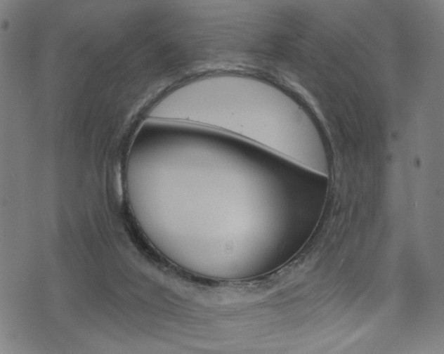 X0000073540020200607311002