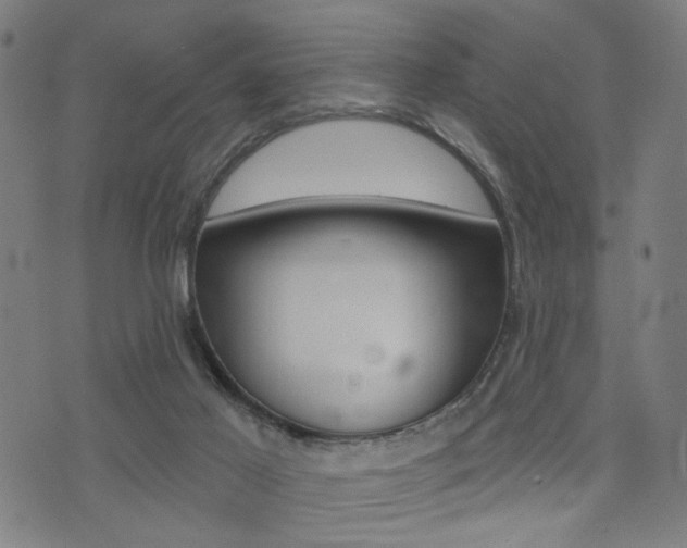 X0000073540021200607311002