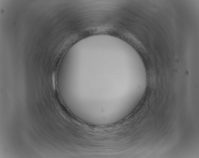 X0000073540022200607311002