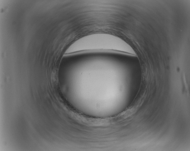 X0000073540044200607311002