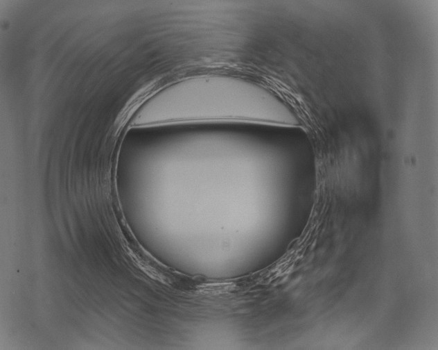 X0000073540051200607311001