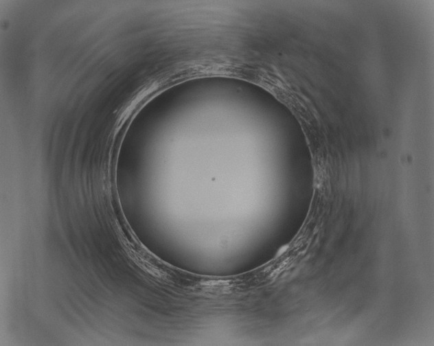 X0000073540052200607311001