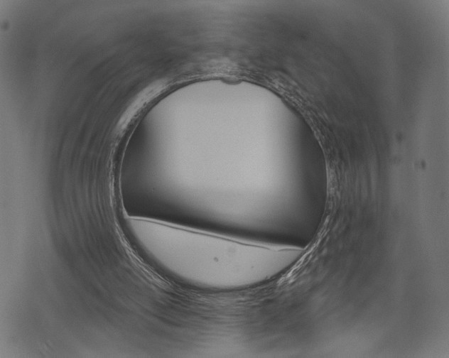 X0000073540054200607311001