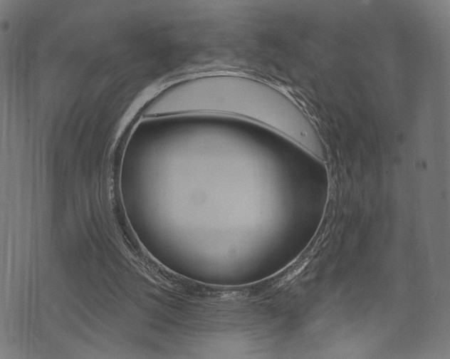X0000073540056200607311001
