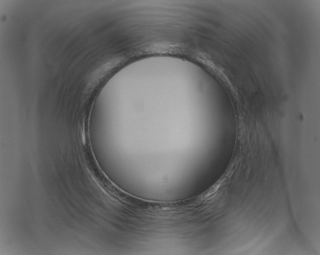 X0000073540062200607311001